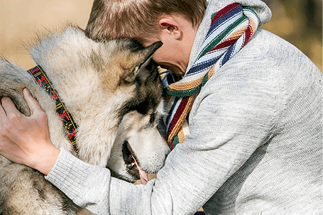 dog-img