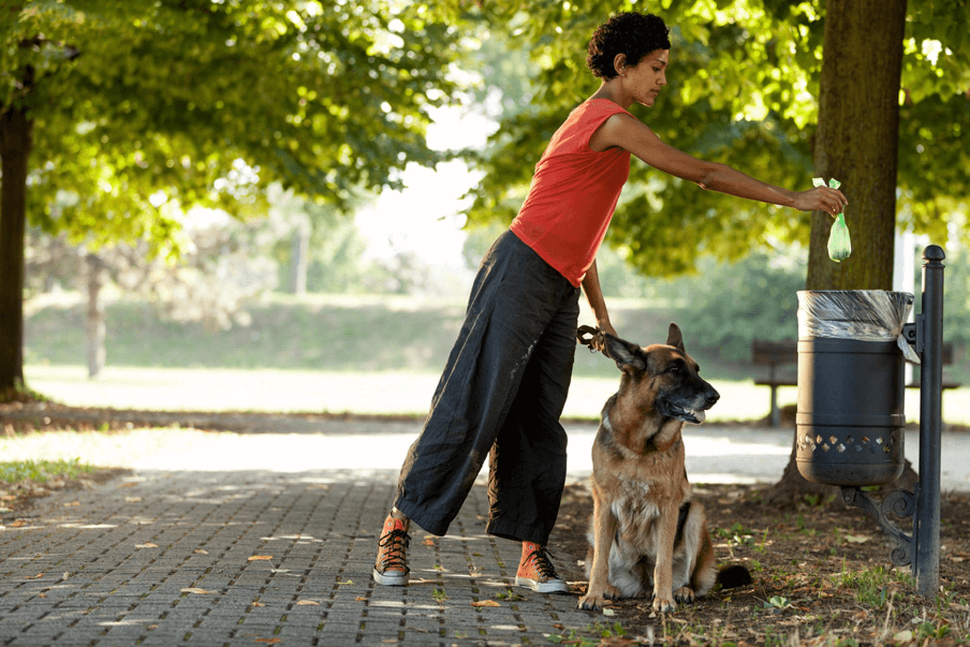 dog-img